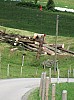 4948.jpg 4948.jpg
