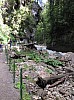 4962.jpg 4962.jpg