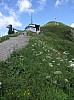 5082.jpg 5082.jpg