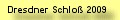 Die Baustelle Dresdner Schlo war am 9. August 2009 zur Besichtigung offen